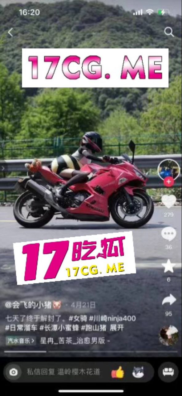 50913-2.jpg 50913-2.jpg