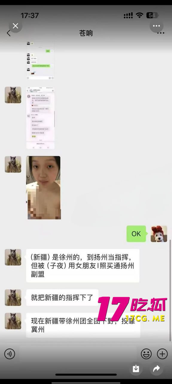 2-6-3-9.jpg 2-6-3-9.jpg