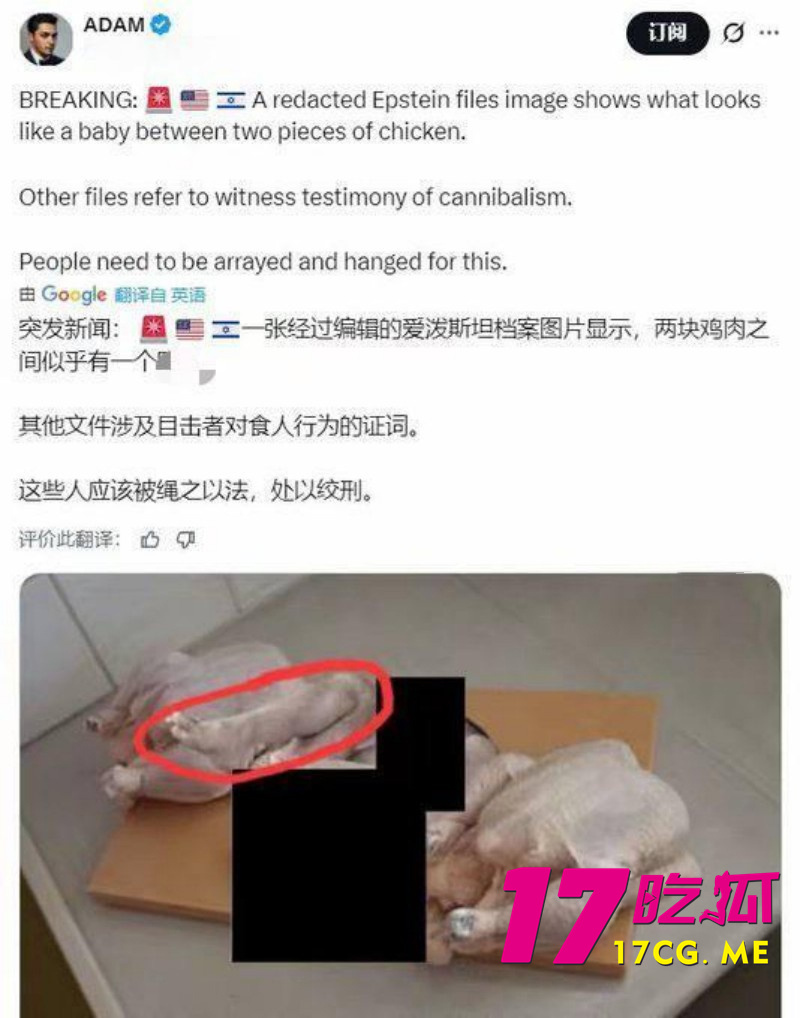 DM_20260202213732_007_副本.jpg DM_20260202213732_007_副本.jpg